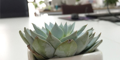 成员风采
